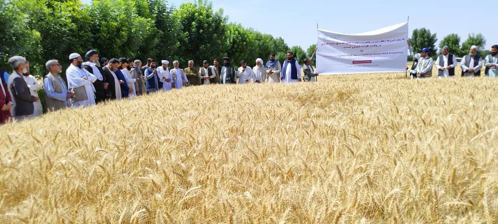 تجلیل از روز مزرعه در هرات